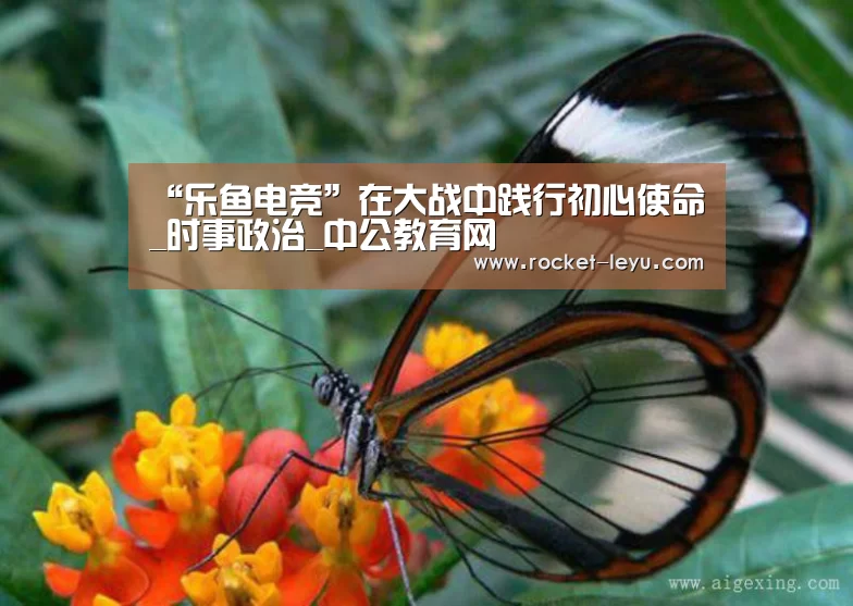 “乐鱼电竞”在大战中践行初心使命_时事政治_中公教育网(图2)