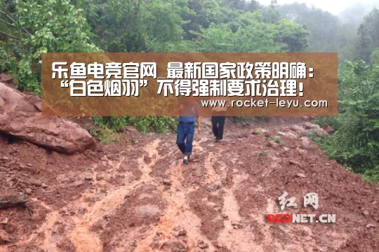 乐鱼电竞官网
