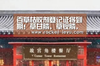 乐鱼电竞官网