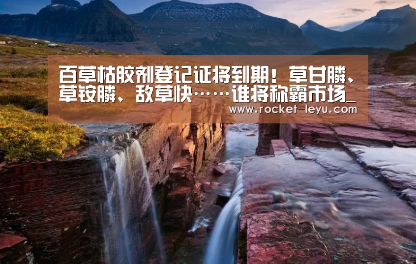 乐鱼电竞官网