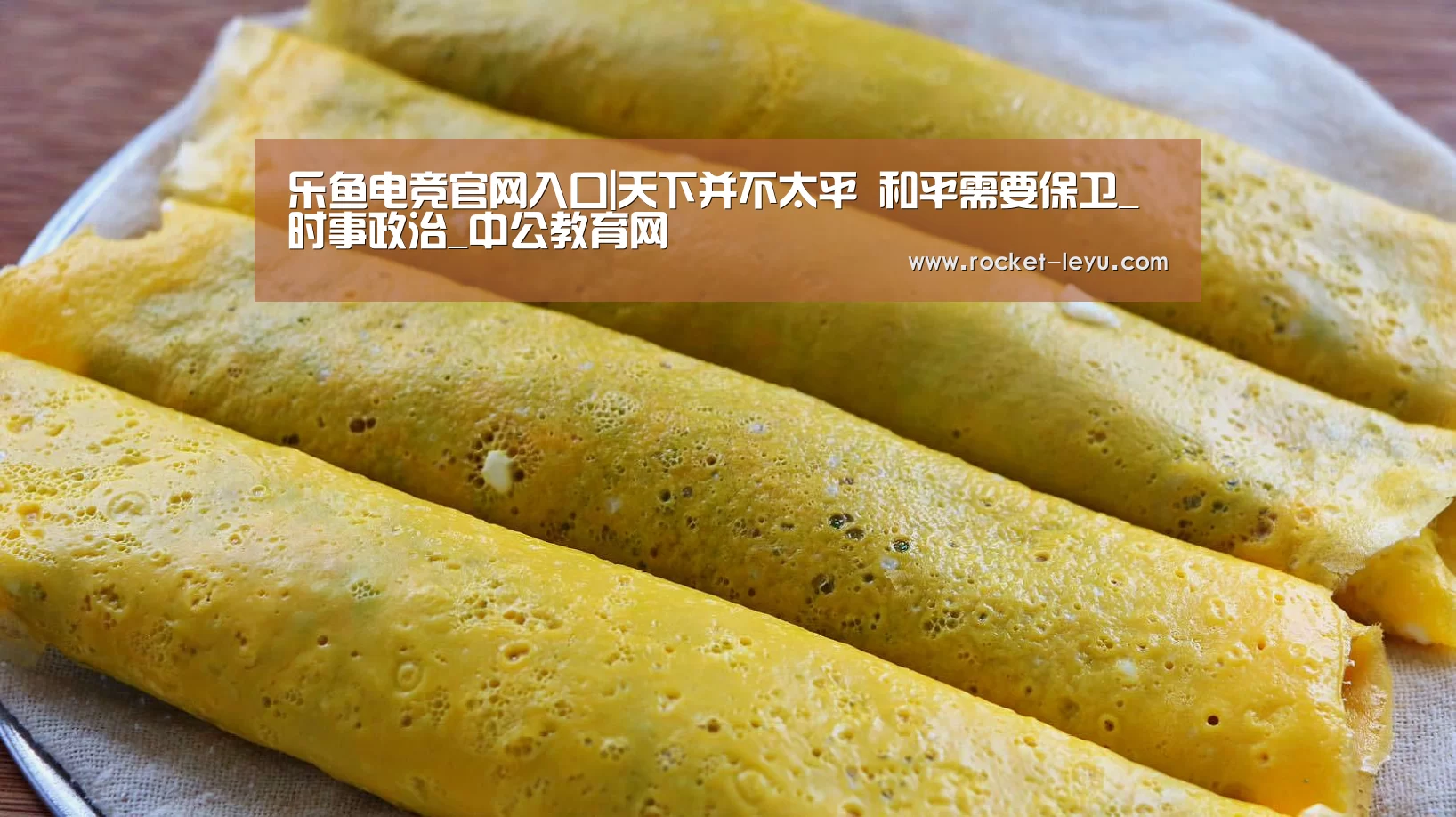 乐鱼电竞官网